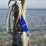 This is not a blue bottle 1/.8 ソールド アウト