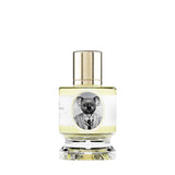 コアラ｜コアラ