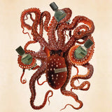 メガマーレ｜海